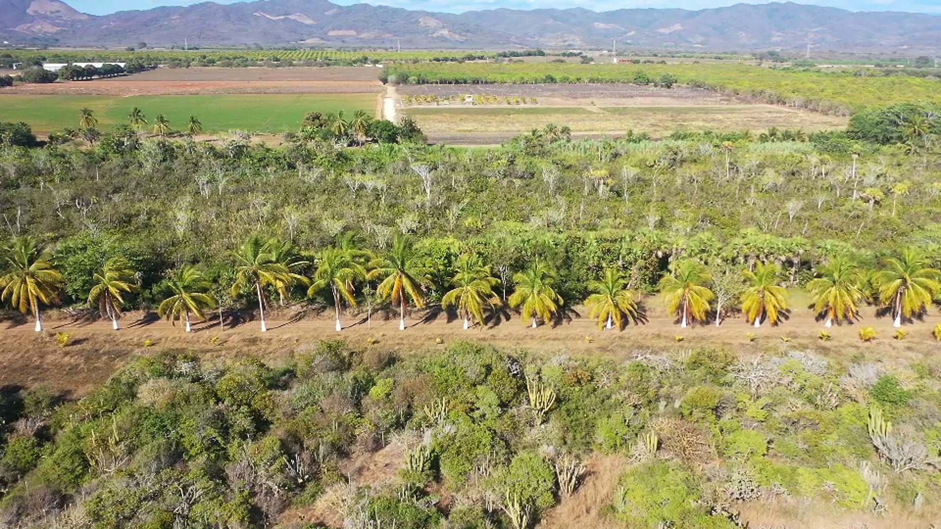 El palmar y sus caminos interiores desde el aire
