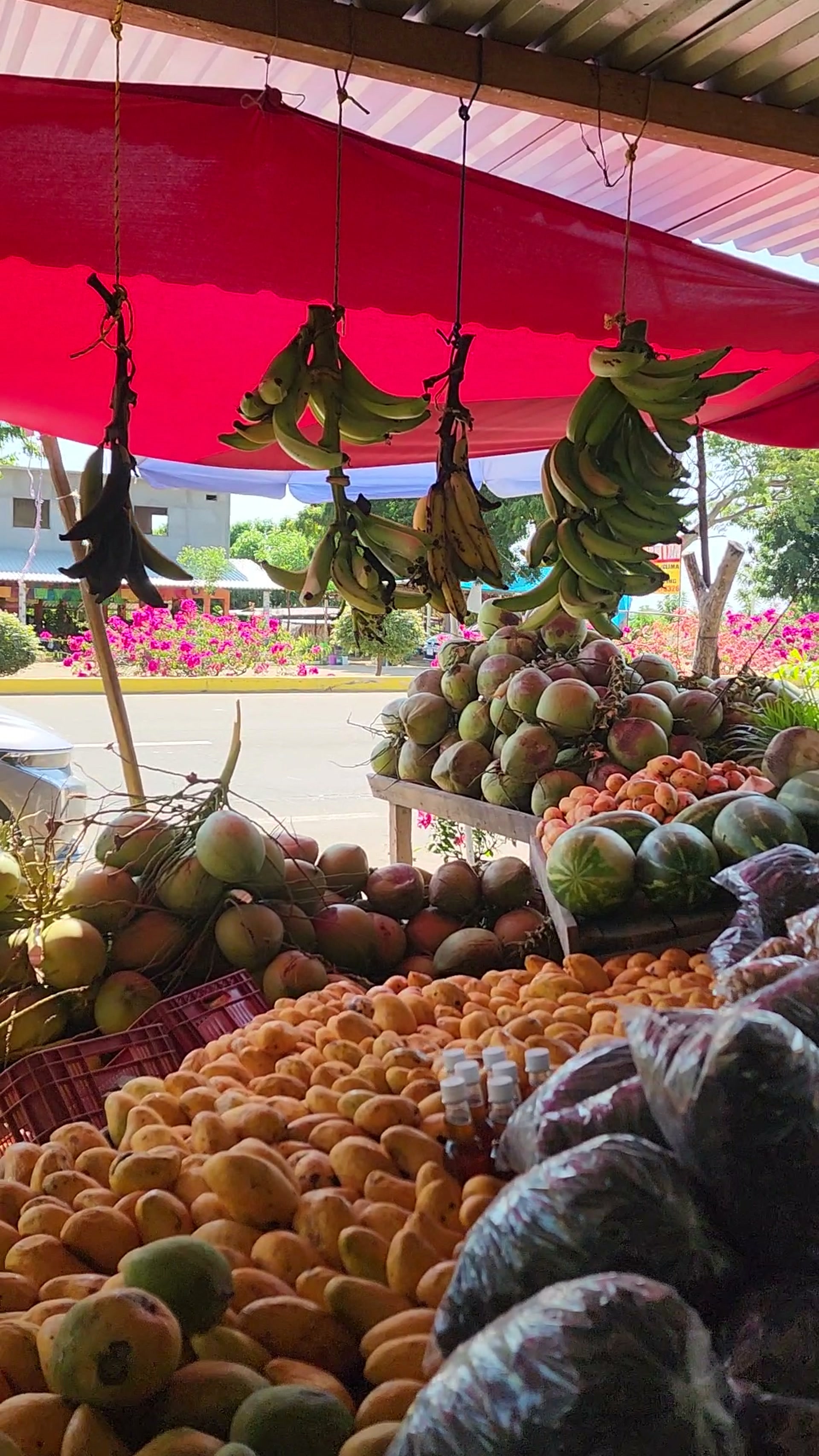 Puesto de fruta y coco sobre la carretera, en El Tomatal